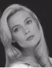 pdi.gif (97665 bytes)